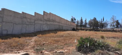 Vente Terrain Tlemcen Ain fezza