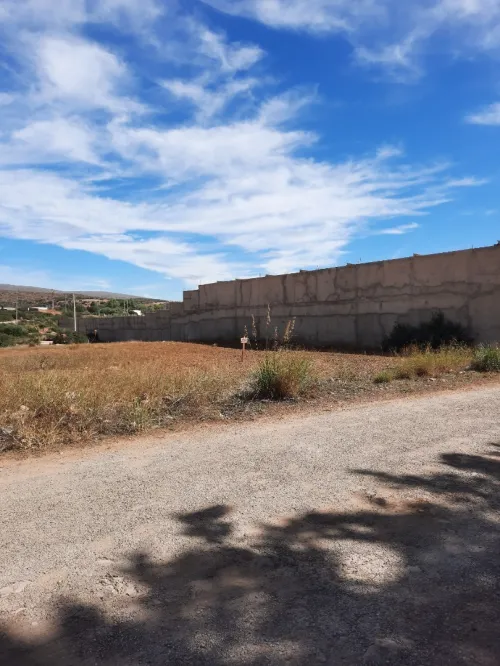 Vente Terrain Tlemcen Ain fezza