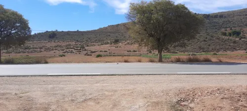 Vente Terrain Tlemcen Ain fezza
