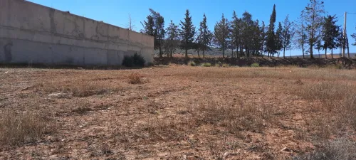 Vente Terrain Tlemcen Ain fezza