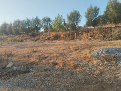 Vente Terrain Boumerdès El kharrouba