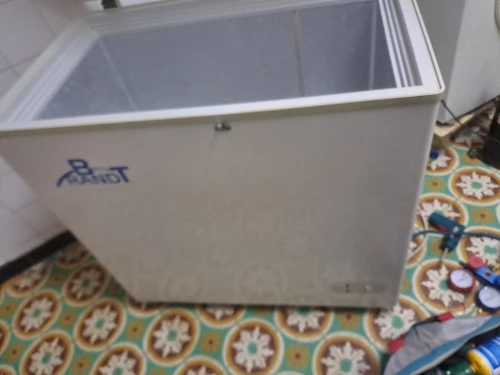 الجزائر  البليدة 