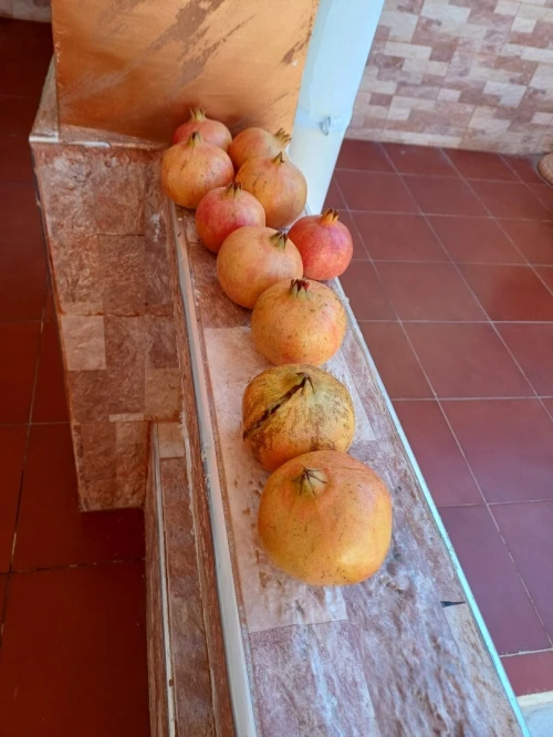 Location Villa Chlef Chlef