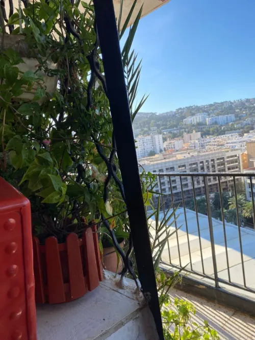 Vente Appartement F2 Alger Sidi mhamed