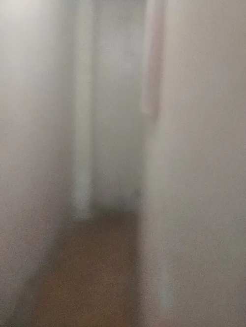 Vente Appartement F4 Alger Belouizdad