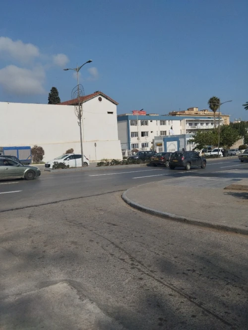 Vente Local Alger Alger centre