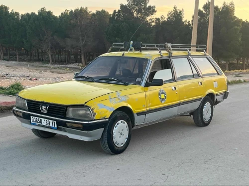 Peugeot 505 1989 505