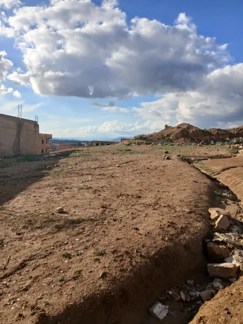 Vente Terrain Aïn Defla Sidi lakhdar