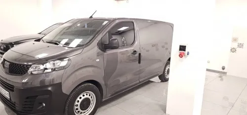 Fiat Skodo 2024 