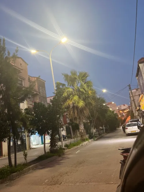 Location Local Alger Ouled fayet