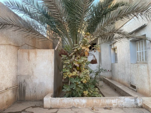 Location Villa Ouled Djellal Ouled Djellal