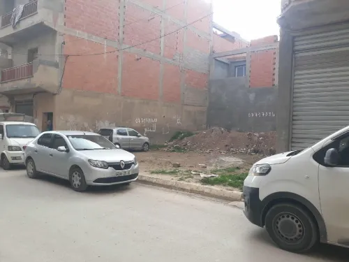 Vente Terrain Sétif Ain arnat