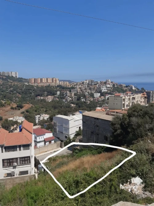 Vente Terrain Skikda Skikda