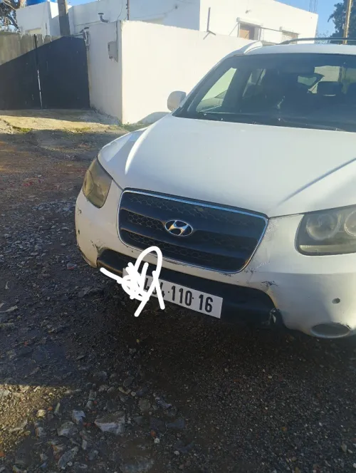 Hyundai SantaFe 2010 SantaFe