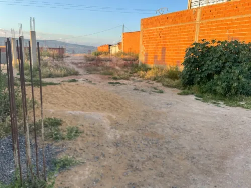 Vente Terrain Chlef Oum drou