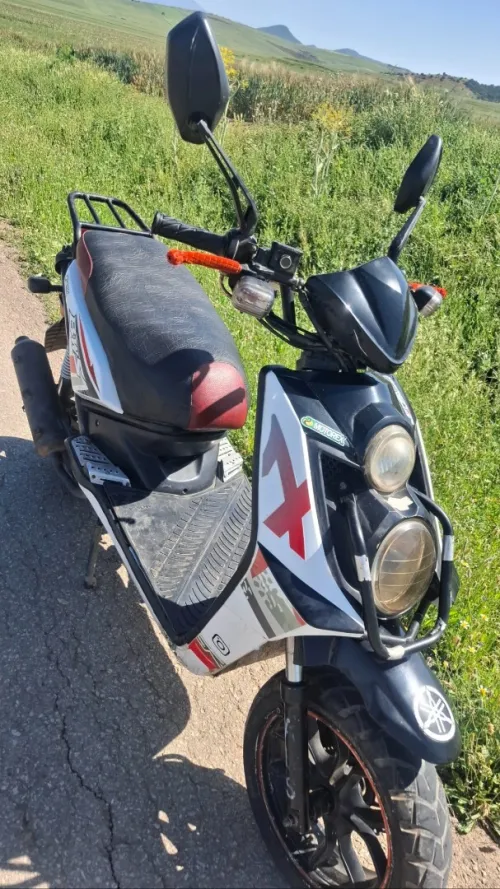 Okinoi Okinoi 2019