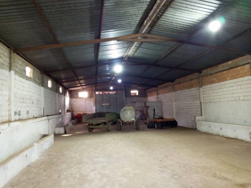 Location Hangar - Usine Aïn Témouchent Tamzoura