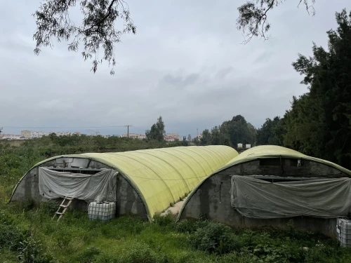 Vente Hangar - Usine Blida Beni mered