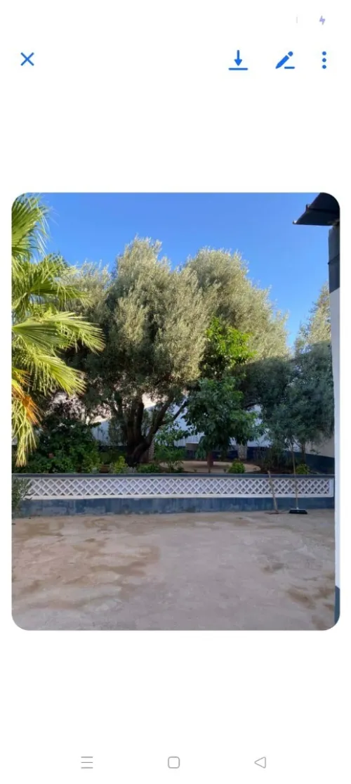 Vente Terrain Relizane Oued rhiou