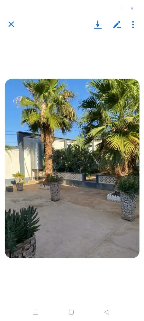 Vente Terrain Relizane Oued rhiou