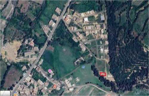 Vente Terrain Blida Hammam melouane