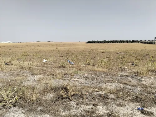 Vente Terrain Sétif Guidjel