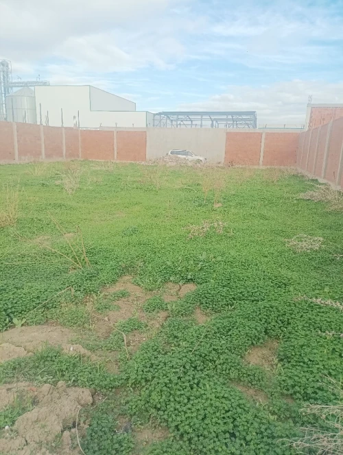 Vente Hangar - Usine Blida Ouled selama