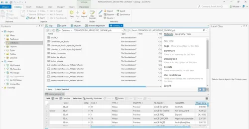  FORMATION  ARCGIS PRO  تكوين نظم معلومات جغرافية  ارك جيس برو 