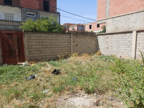 Vente Terrain Boumerdès Ouled moussa