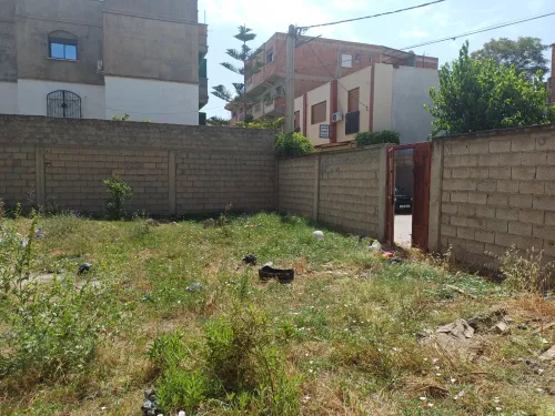 Vente Terrain Boumerdès Ouled moussa