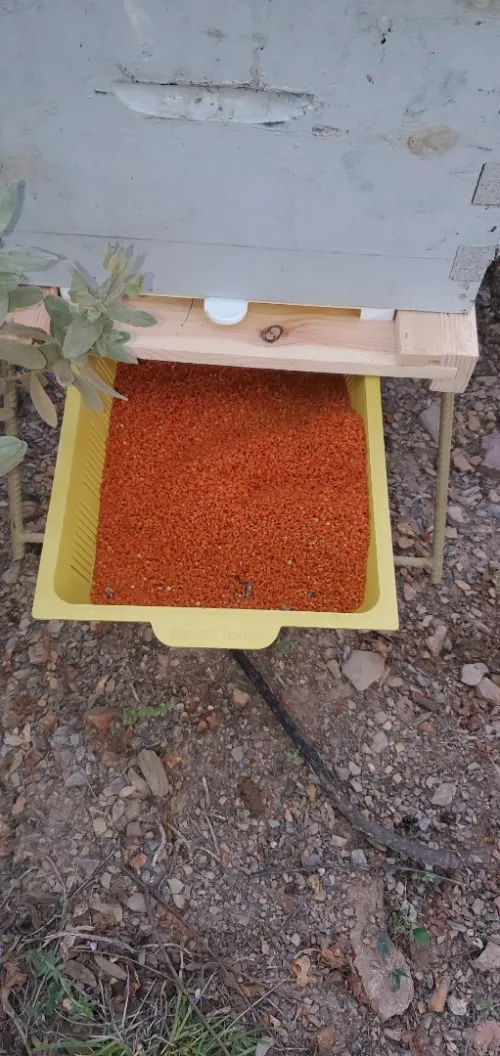 بيع جميع انواع العسل وحبوب اللقاح