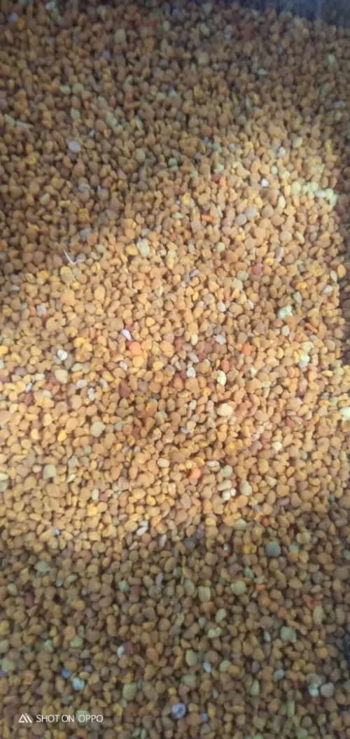 بيع جميع انواع العسل وحبوب اللقاح