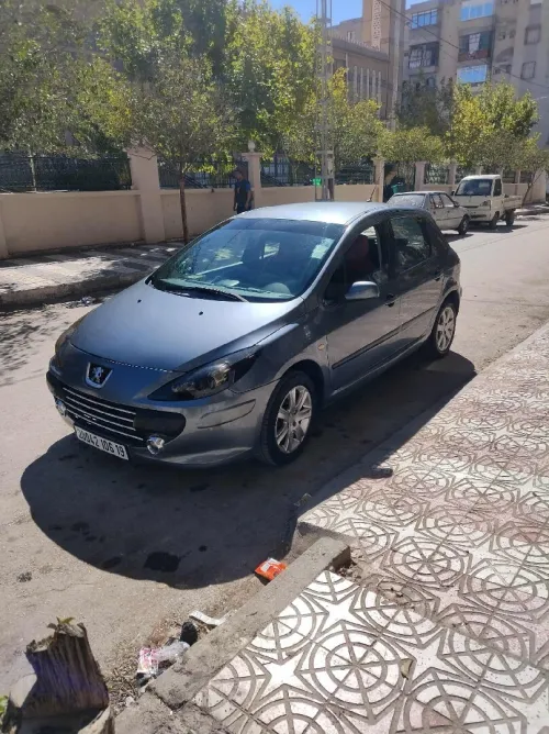 Peugeot 307 2006 307