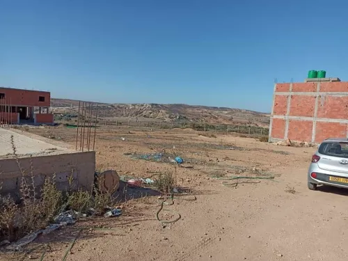 Vente Terrain Timimoun Timimoun