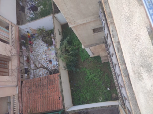 Vente Villa Alger Dely brahim