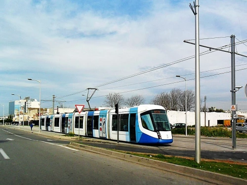 Vente Terrain Alger Bordj el kiffan