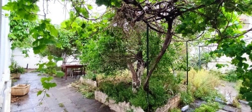 Vente Terrain Alger Bologhine
