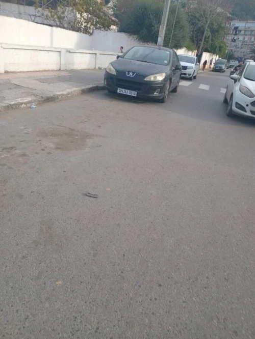 Peugeot 407 2005 407