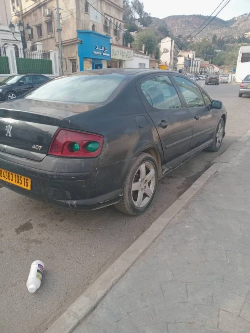 Peugeot 407 2005 407