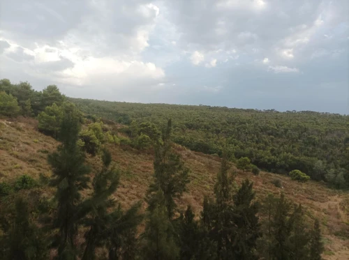 Vente Appartement F3 Tizi Ouzou Azeffoun