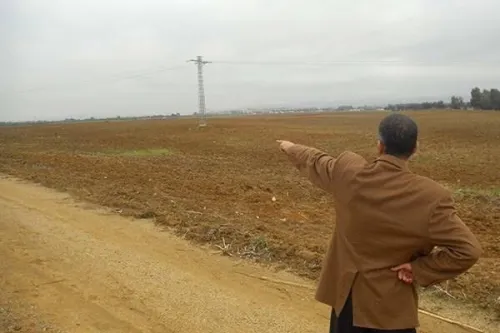 Vente Terrain Agricole Tlemcen Tlemcen