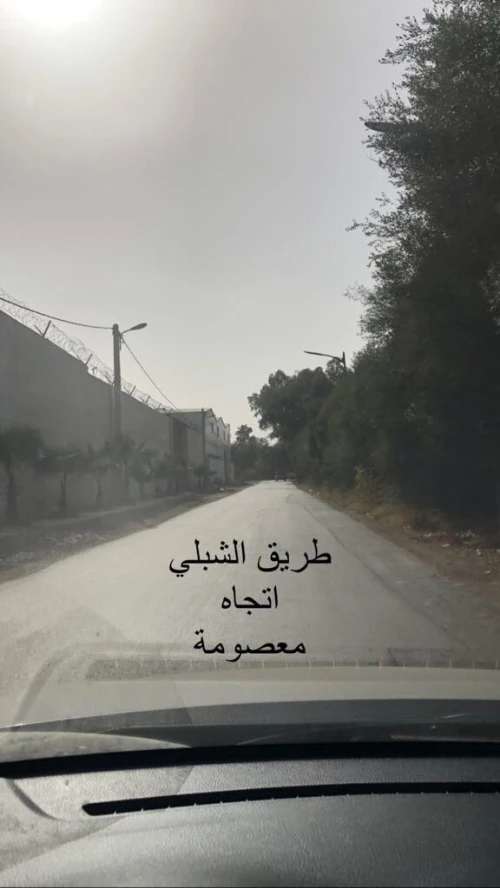 Vente Terrain Blida Chebli