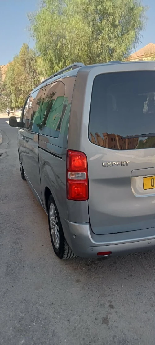 Peugeot Expert 2020 Access 
