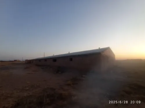 Cherche location Hangar Tiaret Rechaiga
