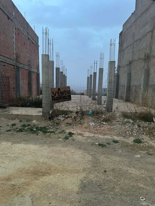 Vente Terrain Tlemcen Beni mester
