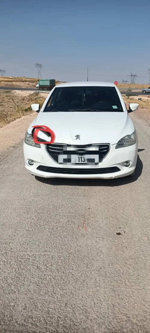 Peugeot 301 2013 Access