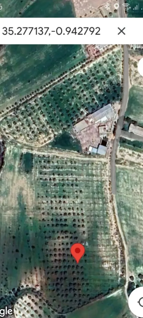 Vente Terrain Agricole Aïn Témouchent Hammam bouhadjar