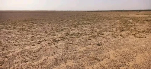 Vente Terrain Agricole Djelfa Benhar