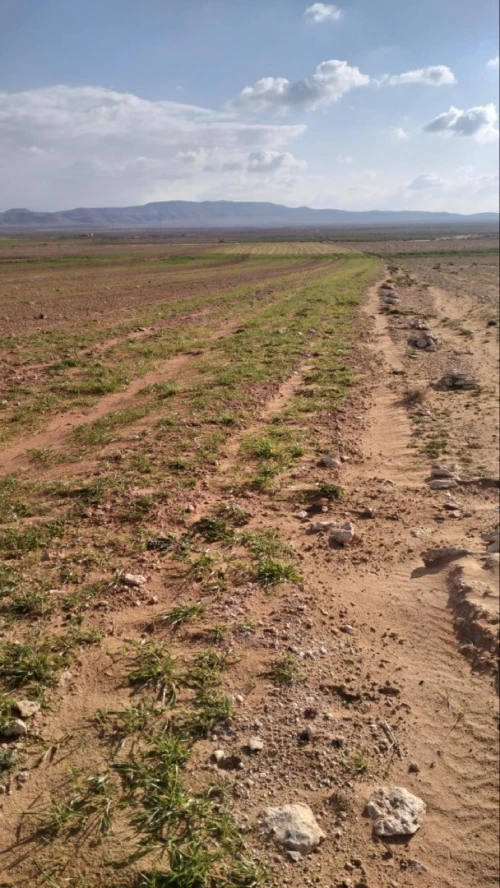 Vente Terrain Agricole Djelfa Ain oussara