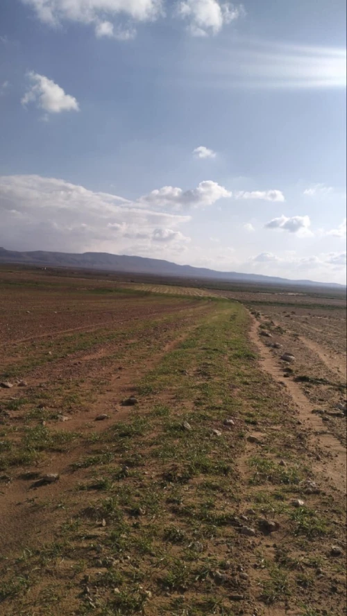 Vente Terrain Agricole Djelfa Ain oussara